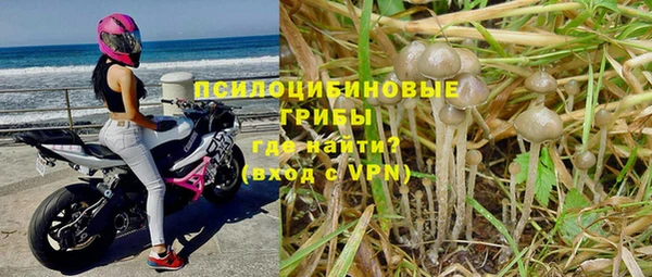 герыч Аркадак