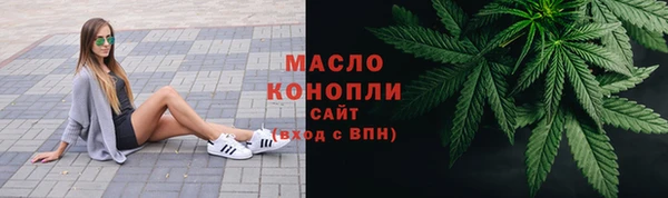индика Арсеньев