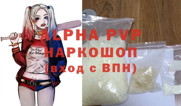 индика Арсеньев