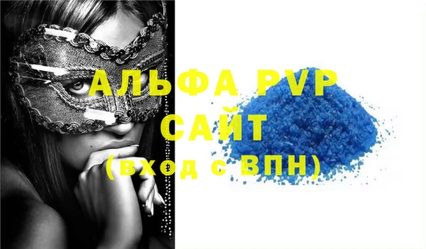 индика Арсеньев