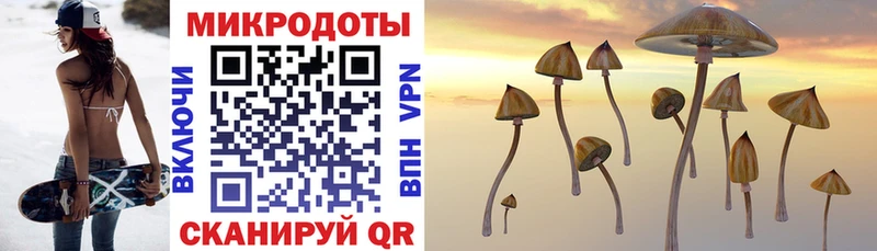 Псилоцибиновые грибы MAGIC MUSHROOMS  Артёмовск 